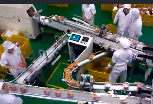 當輸送帶出現跑偏后，怎么辦？